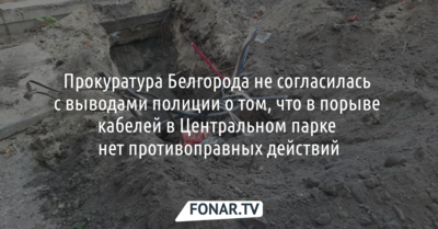 Прокуратура Белгорода не согласилась с выводами полиции о том, что в порыве кабелей в Центральном парке никто не виноват