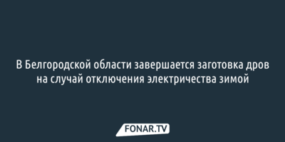 В Белгородской области завершается заготовка дров на случай отключения электричества зимой