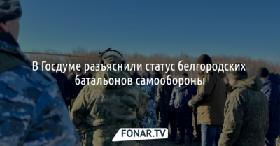В Госдуме разъяснили статус белгородских батальонов самообороны