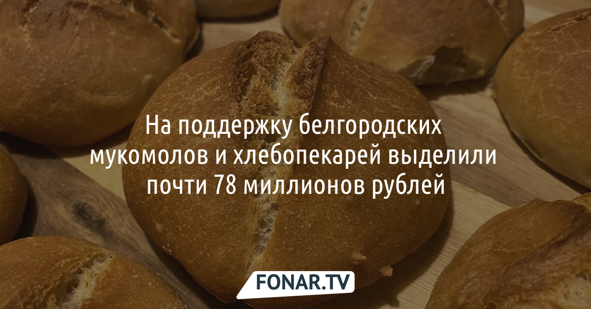 На поддержку белгородских мукомолов и хлебопекарей выделили почти 78 миллионов рублей