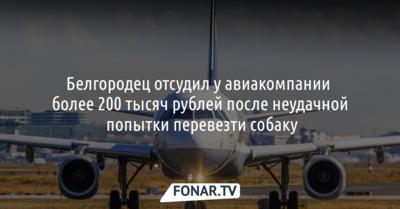 Белгородец отсудил у авиакомпании более 200 тысяч рублей после неудачной попытки перевезти собаку