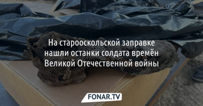 На старооскольской заправке нашли останки солдата времён Великой Отечественной войны