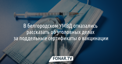 В белгородском УМВД отказались говорить об уголовных делах за поддельные сертификаты о вакцинации