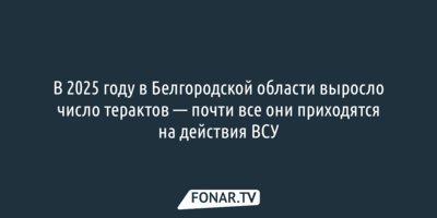 В 2025 году в Белгородской области выросло число терактов 