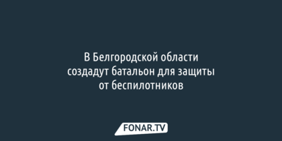 В Белгородской области создадут батальон для защиты от беспилотников