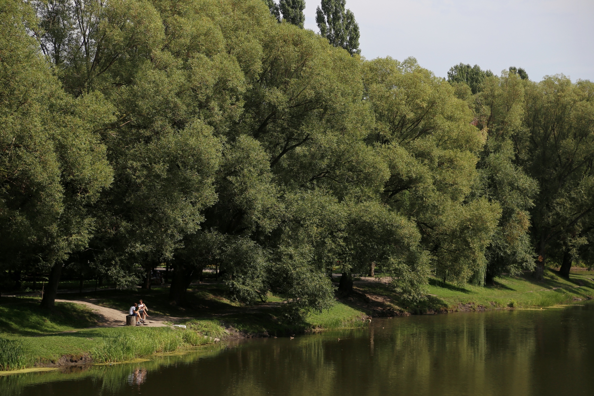 Пара отдыхает у реки Везёлка в парке Победы