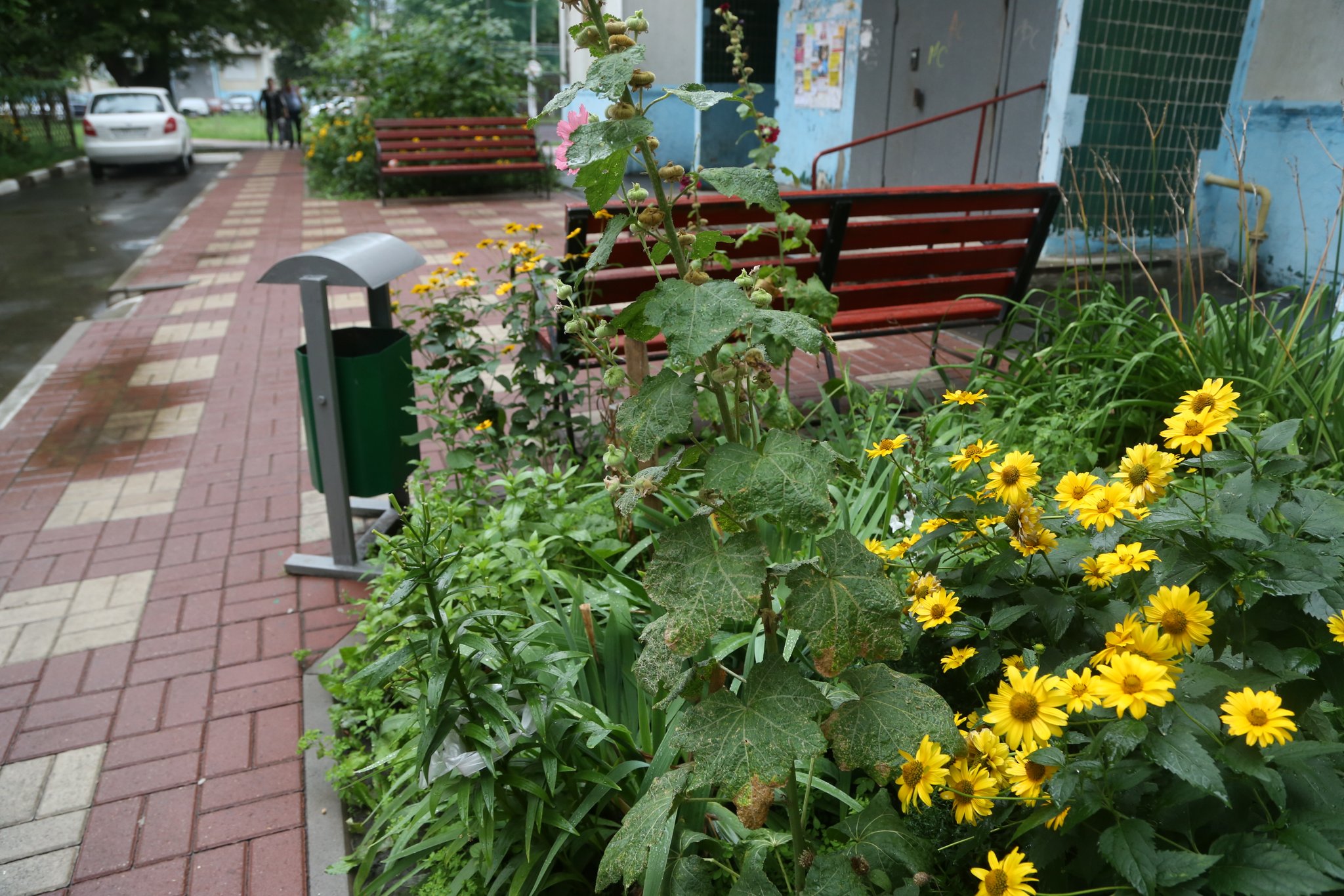 Вы собственники жилья, вы и покупайте котельную». В Белгороде УО  «Молодёжная» предлагает жильцам заплатить 12 миллионов рублей за  реконструкцию котельной — FONAR.TV