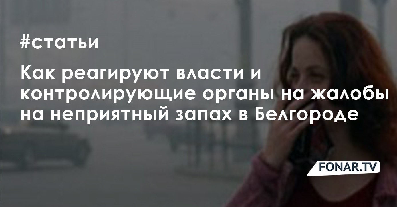 Белгородцы просят врио губернатора Вячеслава Гладкова спасти художественную  школу в Губкине — FONAR.TV