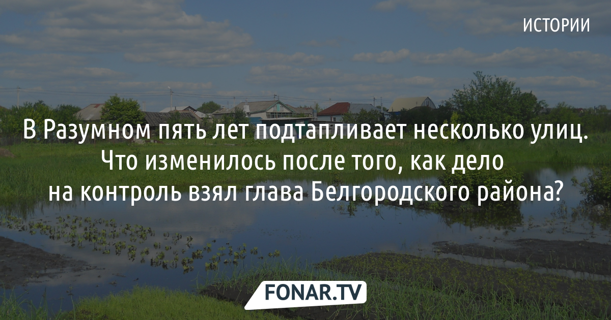 Погода в разумном на 3 дня. Глава разумного Белгородского района. Администрация Белгородского района разумное.