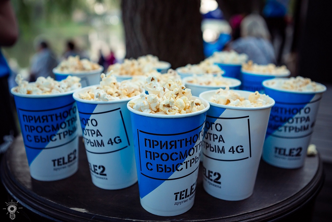 В Белгороде назвали самые посещаемые кинофильмы, которые показали в онлайн-кинотеатре на набережной — FONAR.TV