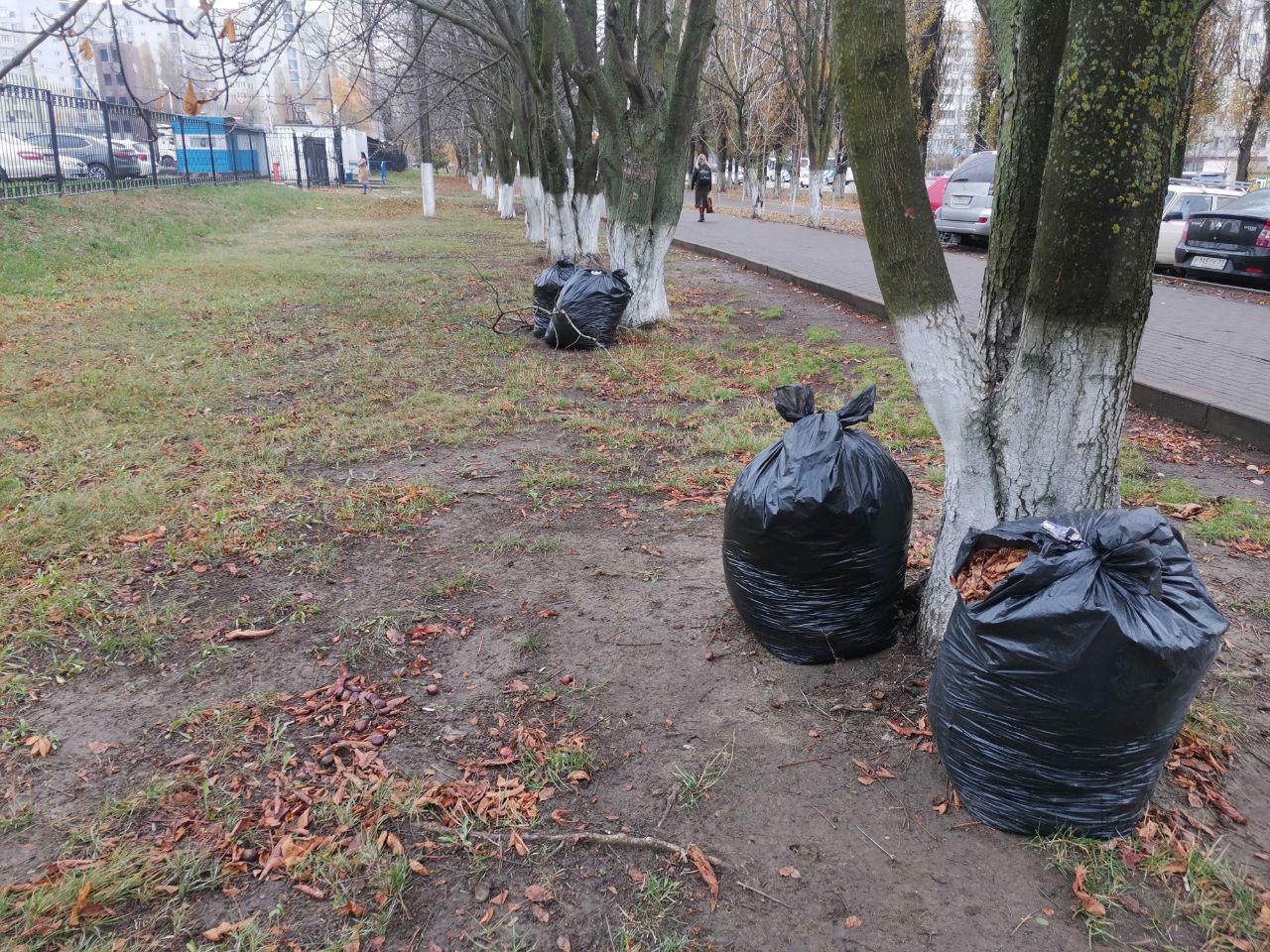 Мэрия Белгорода предложила выносить крупногабаритный мусор по ночам —  FONAR.TV