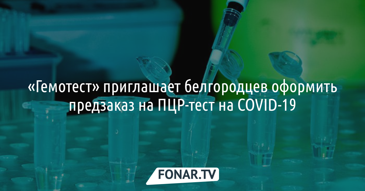 Гемотест График Работы В Новогодние Гемотест График Работы В Новогодние