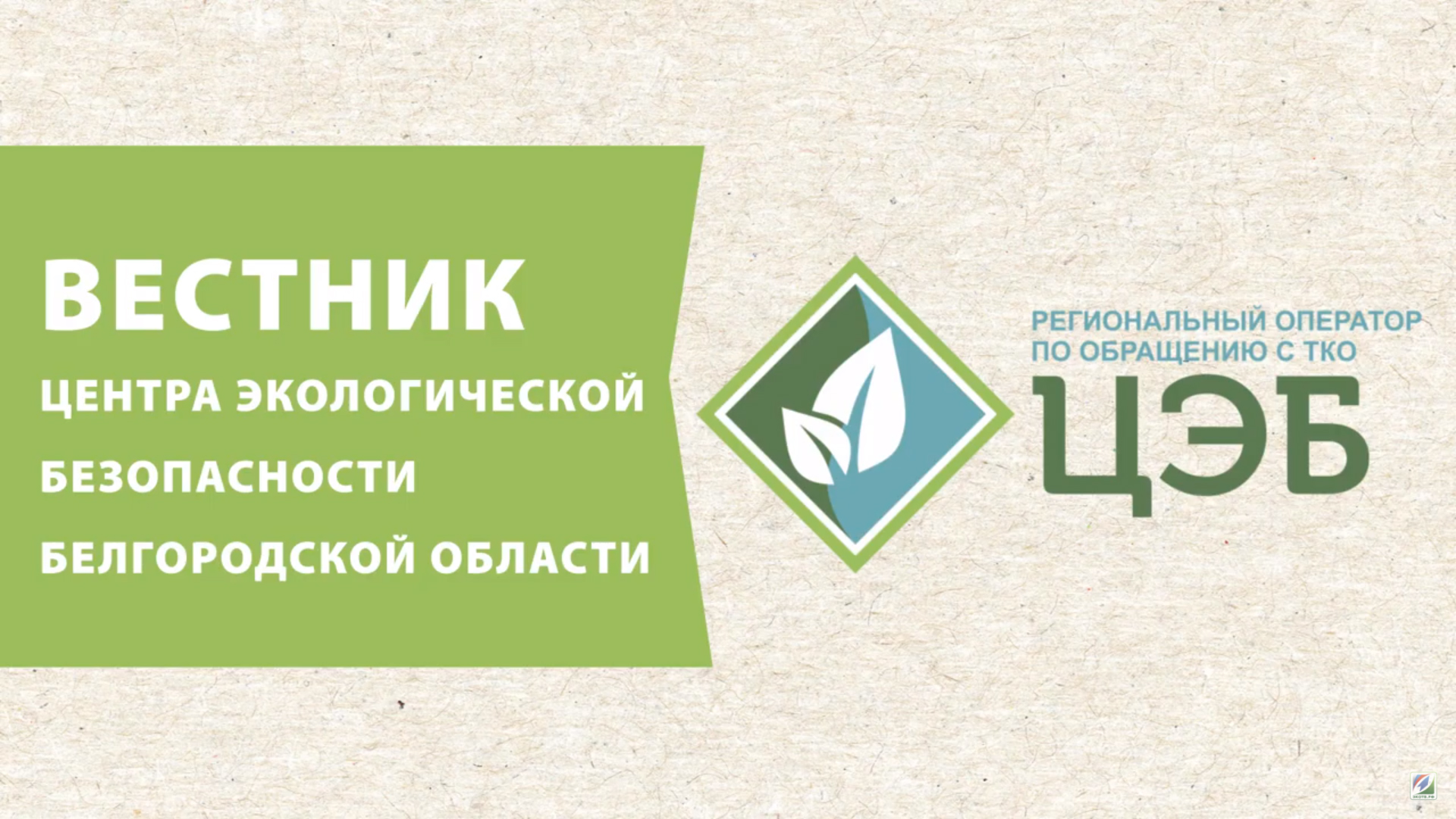 Центр экологической безопасности. ЦЭБ Белгородской области. Центр экологической безопасности Белгород. Что такое центр экологической безопасности гражданской авиации?.