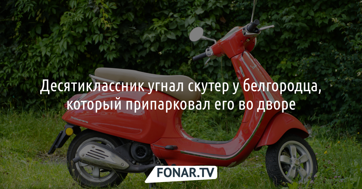 Скутер белгород. Объявления угнали мопед. Мотодрайв 31 Белгород скутера.