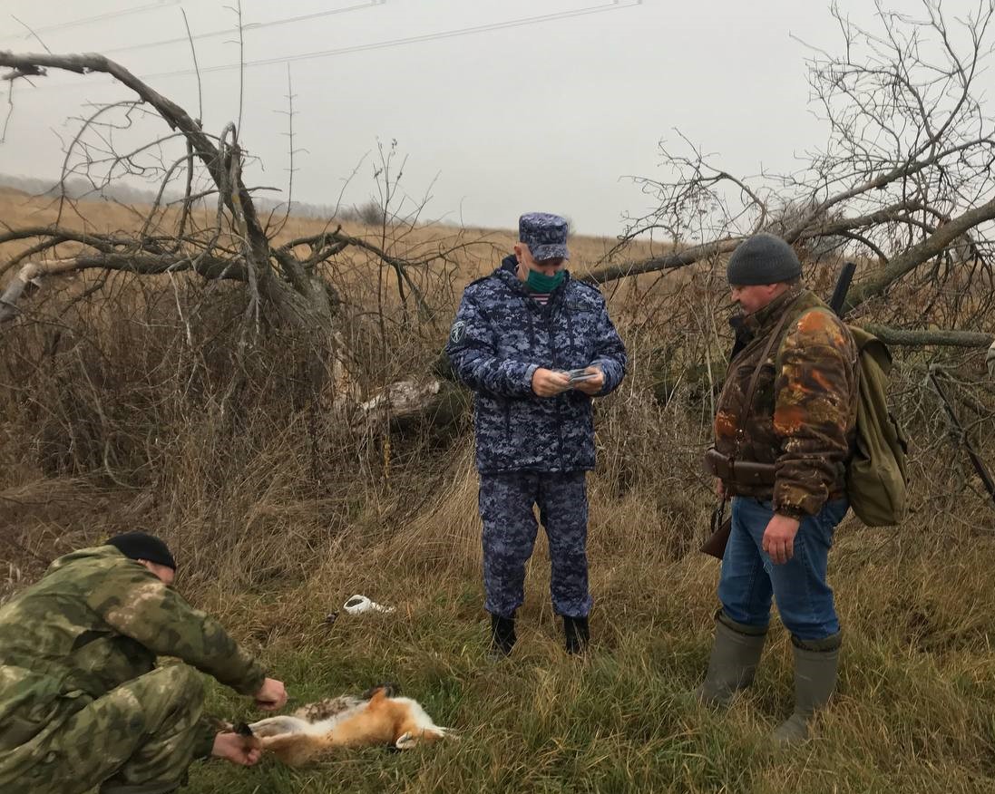 Белгородским росгвардейцам беспилотники помогли в лесах обнаружить браконьеров