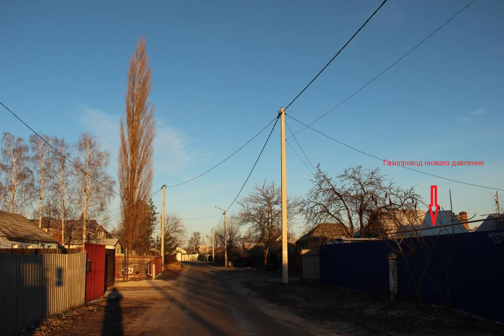 Жители Масловой Пристани, митрополит УПЦ и чиновники не могут спилить 36-метровый тополь, который угрожает домам селян