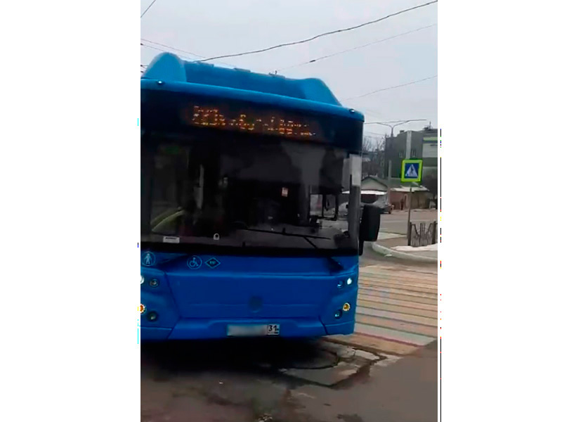  В Белгороде автобус сбил двух женщин на переходе