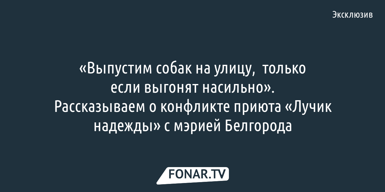 Выпустим собак на улицу, только если выгонят насильно». Рассказываем о  конфликте приюта «Лучик надежды» с мэрией Белгорода — FONAR.TV