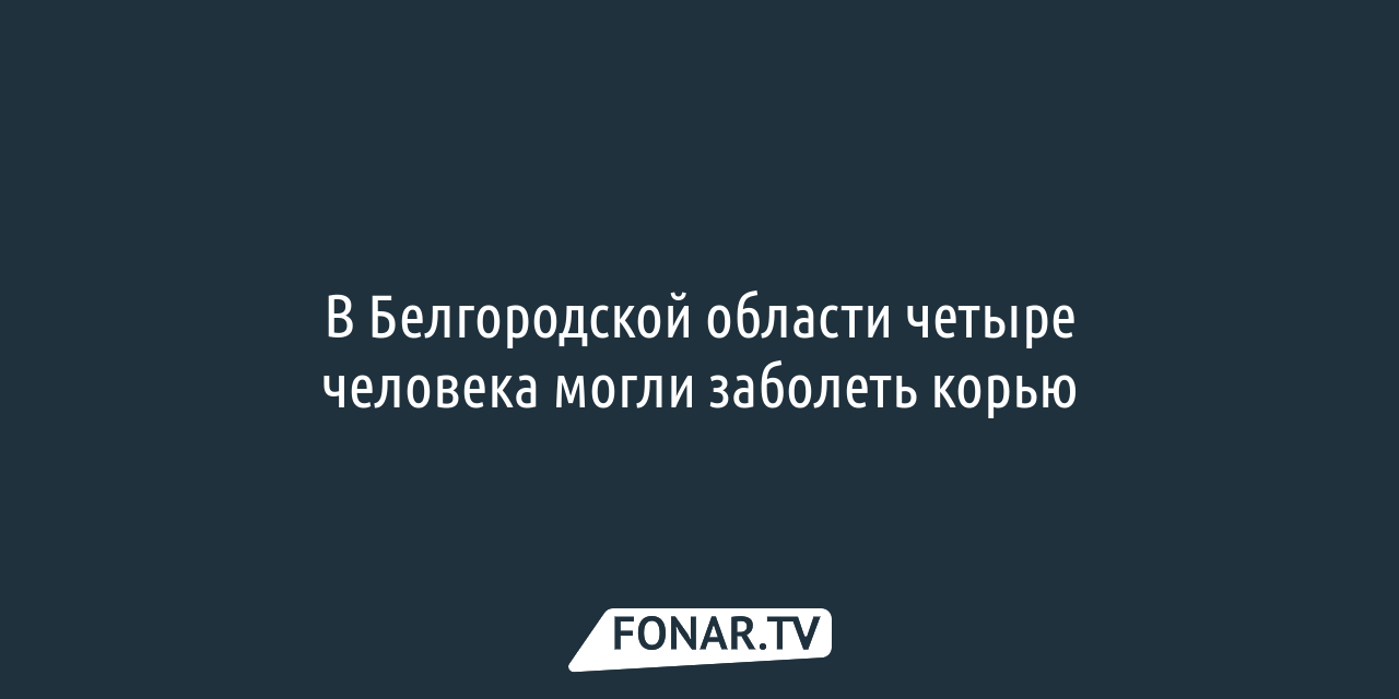 Белгородцам рассказали, что делать, если они нашли чужие диагнозы в  виртуальной медкарте — FONAR.TV