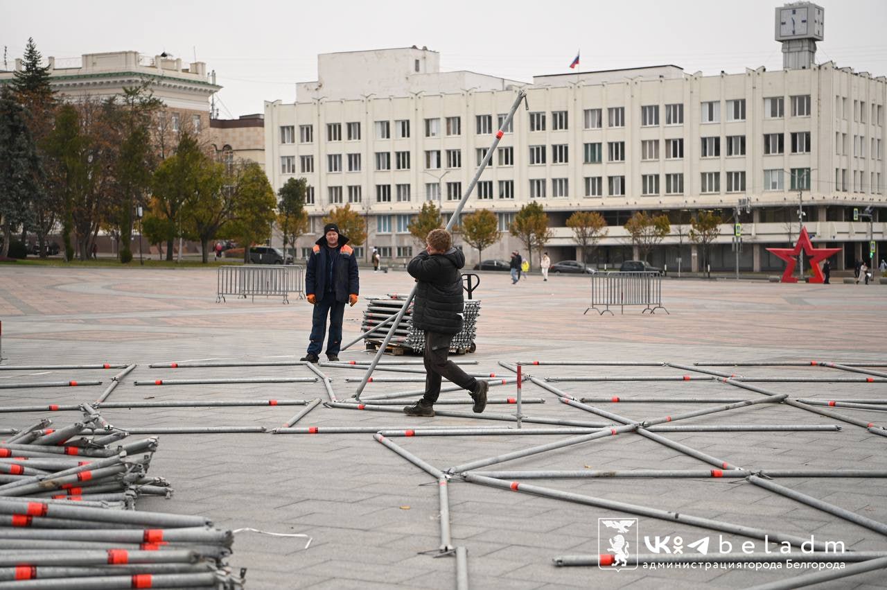 В мэрии объяснили госзакупку фотозоны «Белгород в цвету» с «месячной  просрочкой» — FONAR.TV