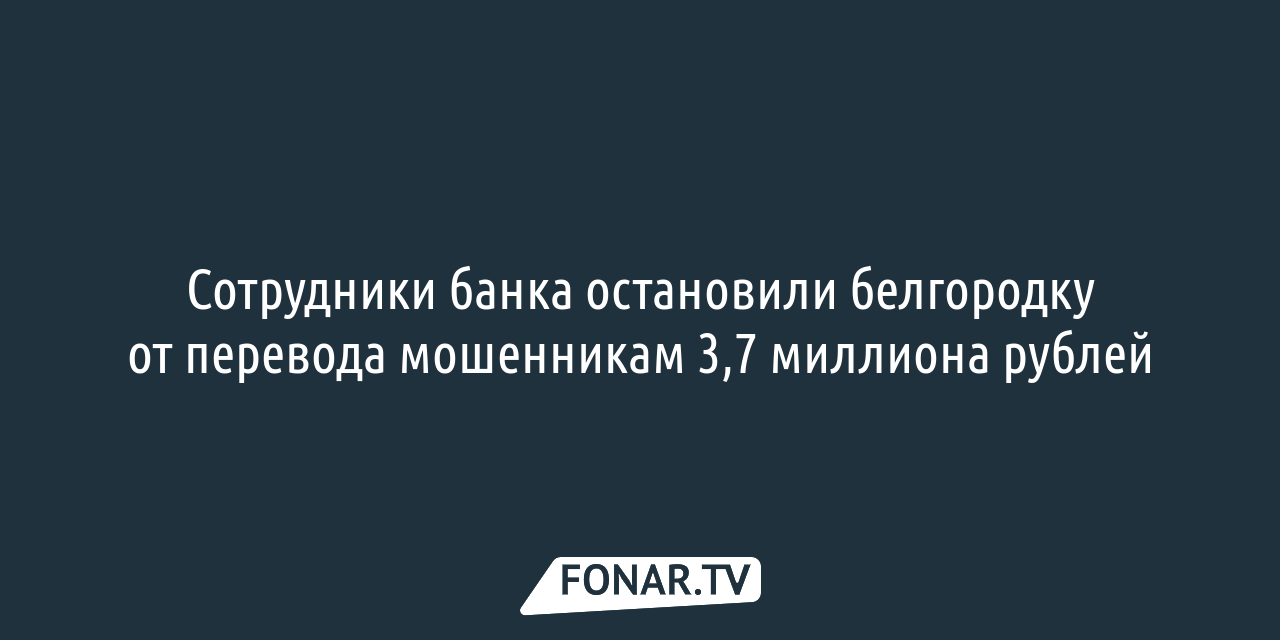 Бывший белгородский депутат не смогла заплатить налог из-за потерянного в  системе имущества [обновлено] — FONAR.TV