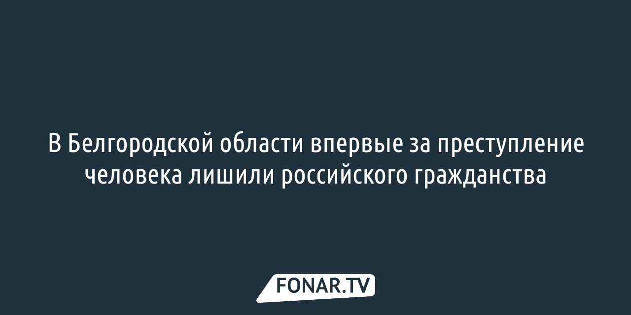 Я тебя выловлю, зарежу». Белгородец пожаловался на соседа, который напал на  него с топором — FONAR.TV