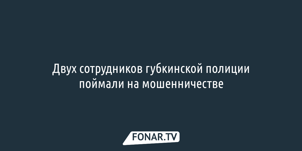 ​Подделка документов без уголовного дела. Губкинский фермер в суде  доказывает возможную попытку рейдерского захвата его земель — FONAR.TV