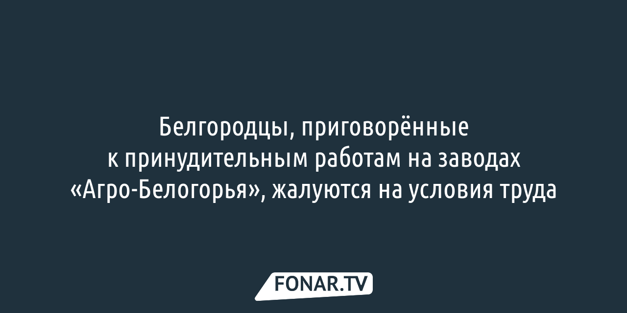 В «Агро-Белогорье» выбрали новый состав совета директоров — FONAR.TV