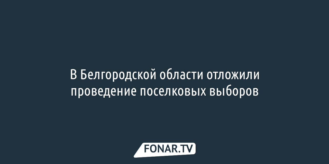 После жалобы губернатору в Разумном на месте берёзовой рощи решили не  строить дом для сирот — FONAR.TV