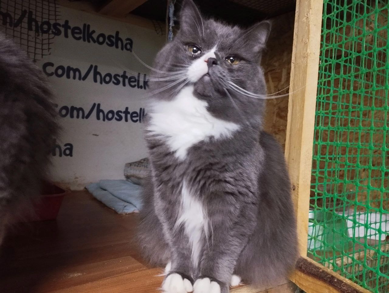 Фото Ксении Морозовой